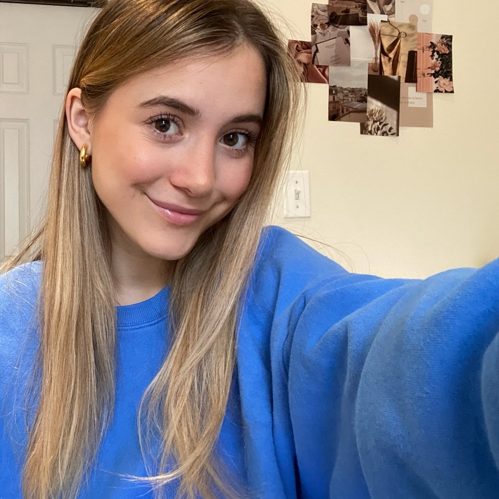 Aritzia cropped sweatshirt